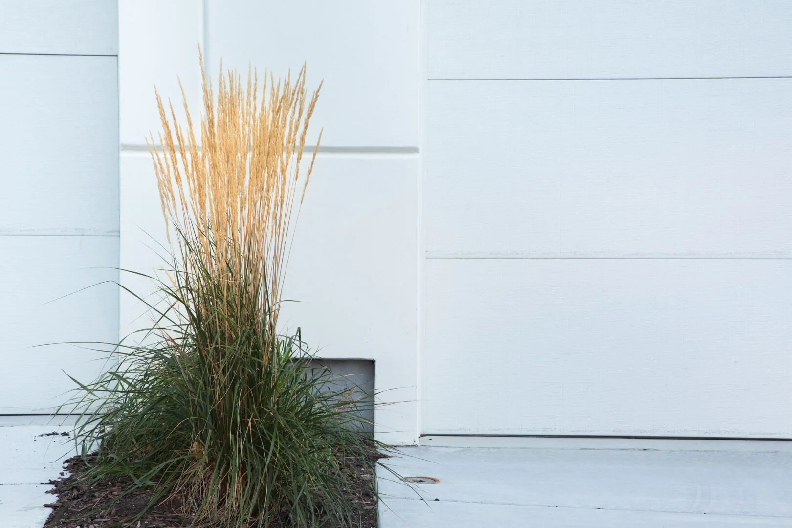 An Architectural Approach to Rooftop Planting Design Theory