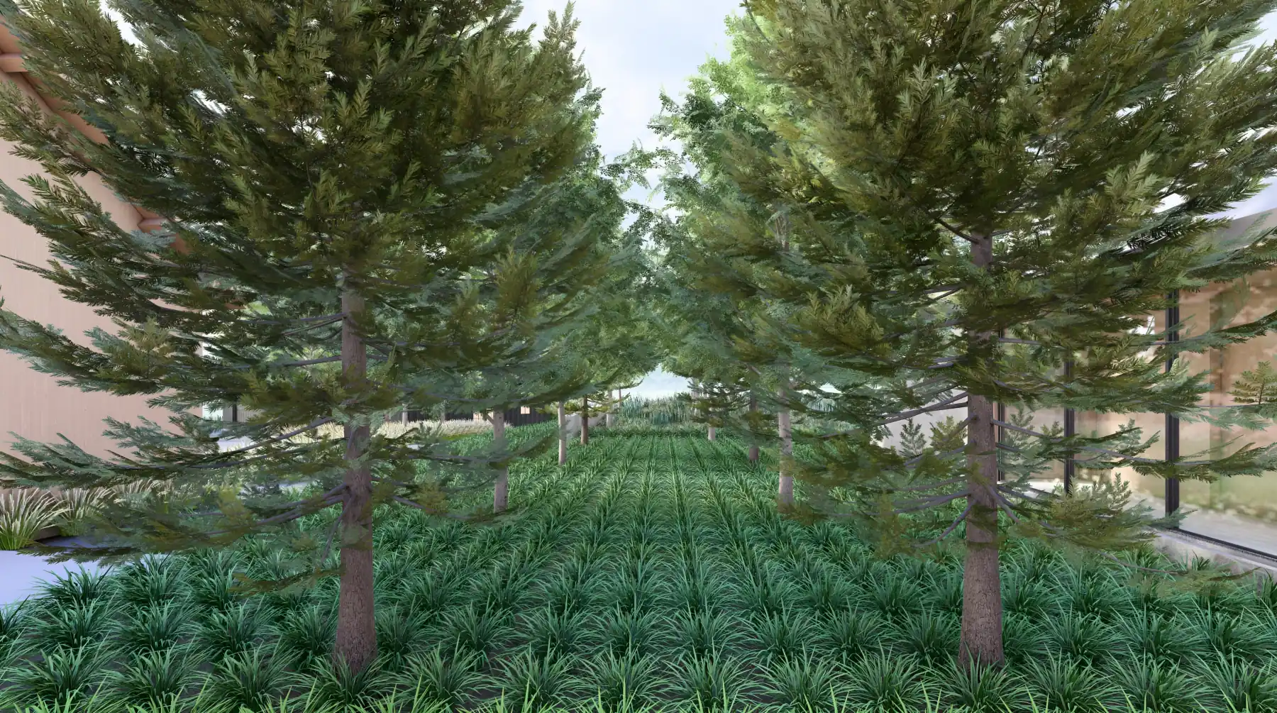 Park City Residence, pine grove (concept rendering)
