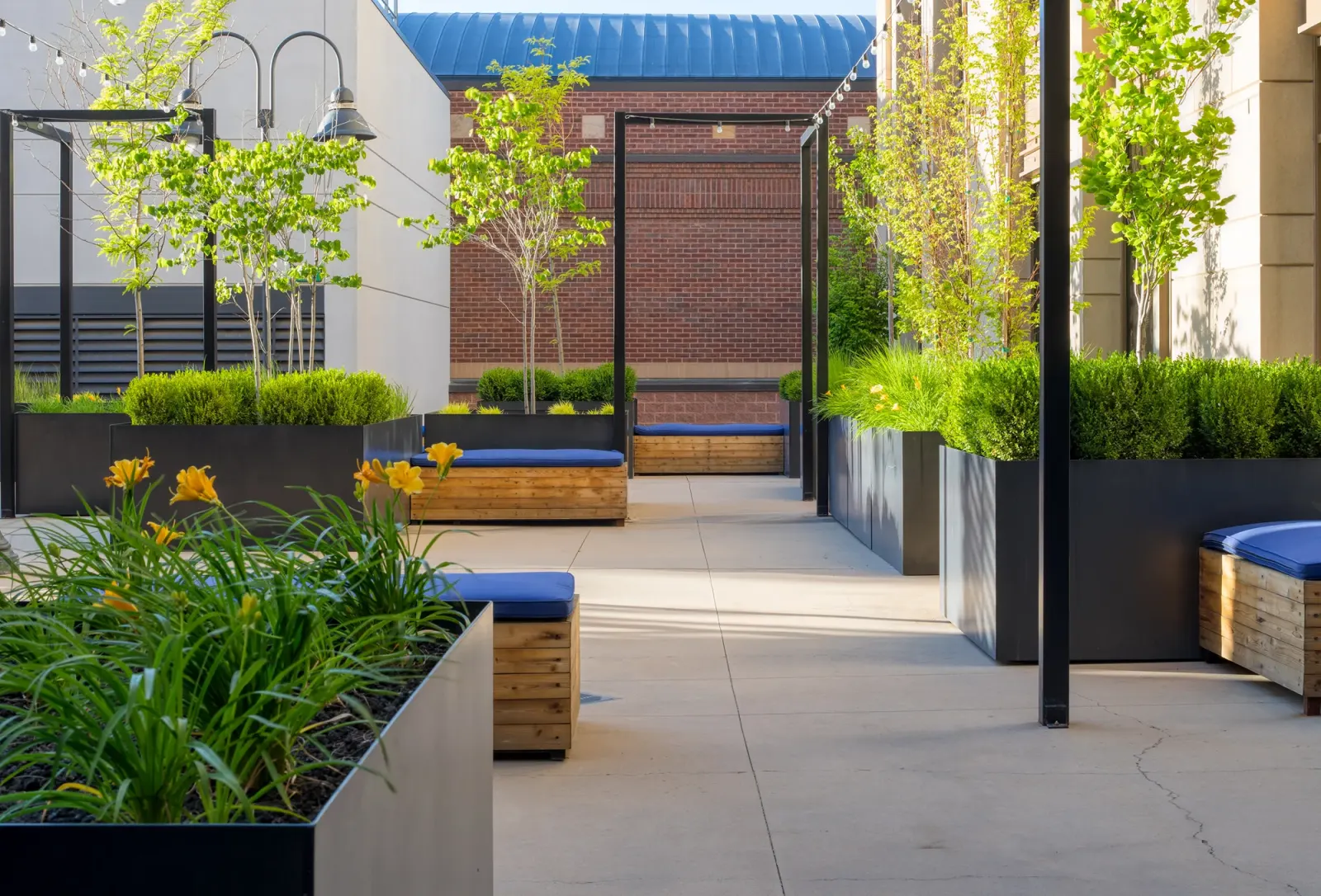 Hidden Gem rooftop benches along the planting