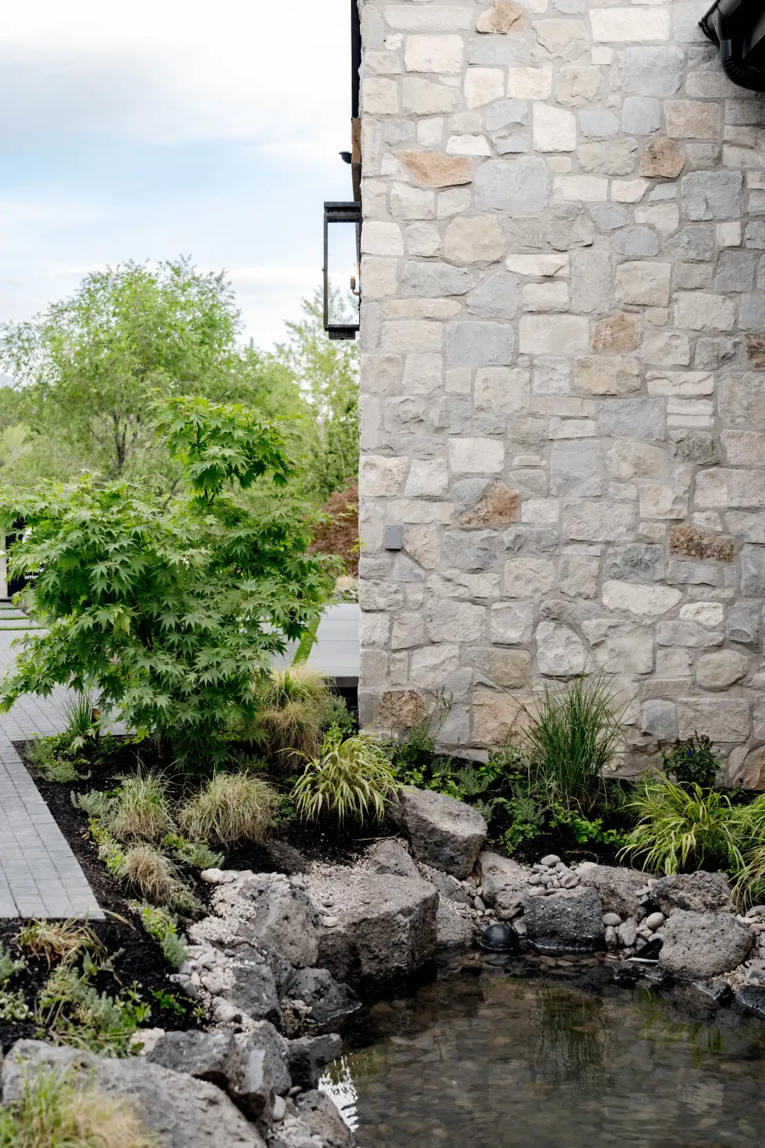 A Japanese maple and layered planting against the stone chimney