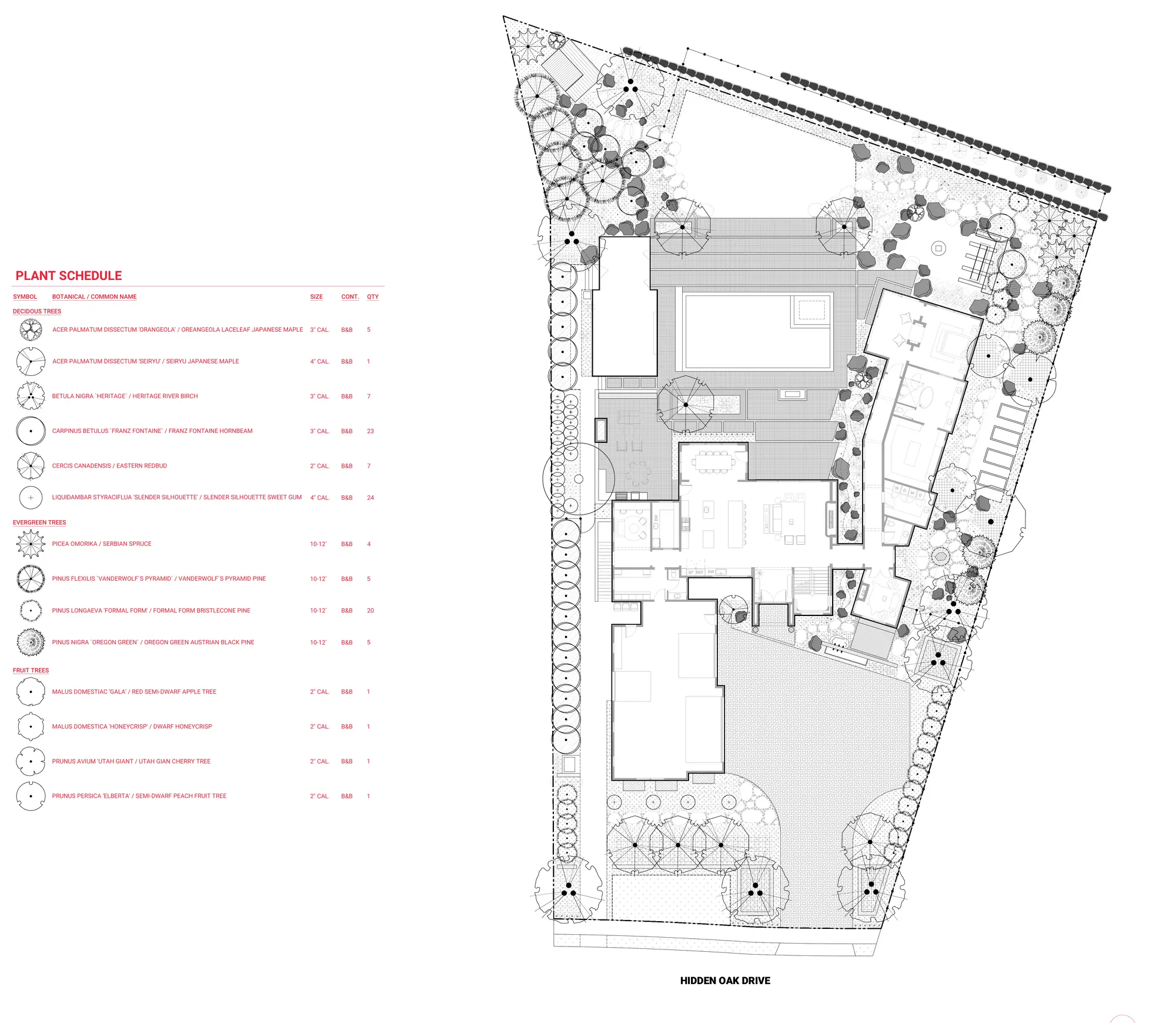 L64 planting plan sheet LP101, the tree plan, showing the site plan and the plant schedule