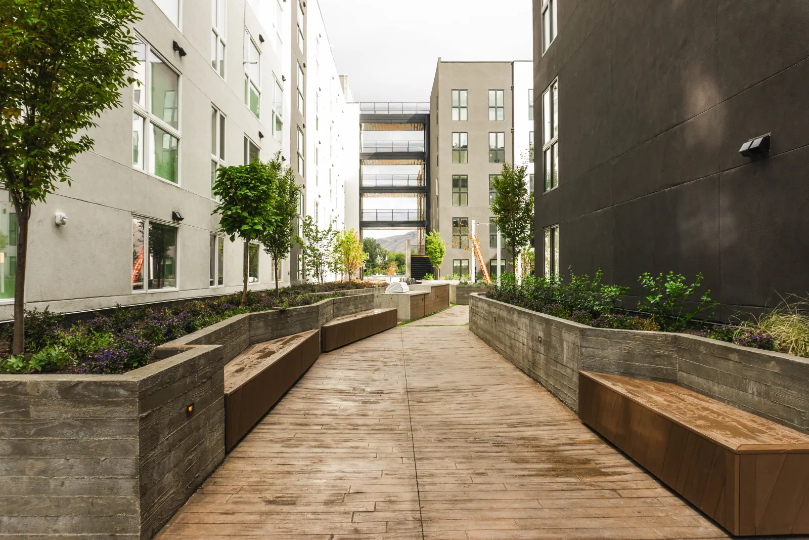 A landscaped living street between the buildings