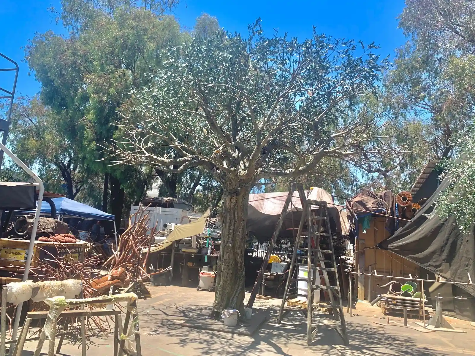 The steel art tree standing in the fabricator’s yard before shipping